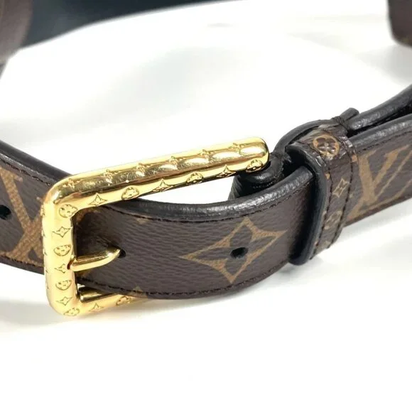 LOUIS VUITTON M0236Y Monogram Ceinture Daily Multi Pocket Bag pouch belt bag - Picture 5 of 16